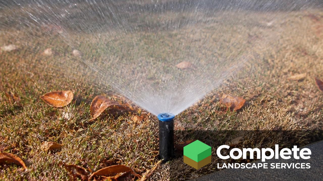 Sprinkler head spraying water over a browning autumn lawn during an irrigation blowout